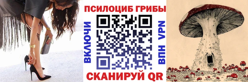 Псилоцибиновые грибы мицелий  даркнет сайт  Игра 